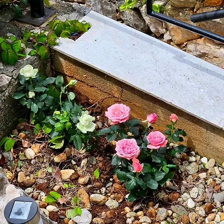 Domagoj - Luxury With Private Parking, Jacuzzi And Seaview Appartement *